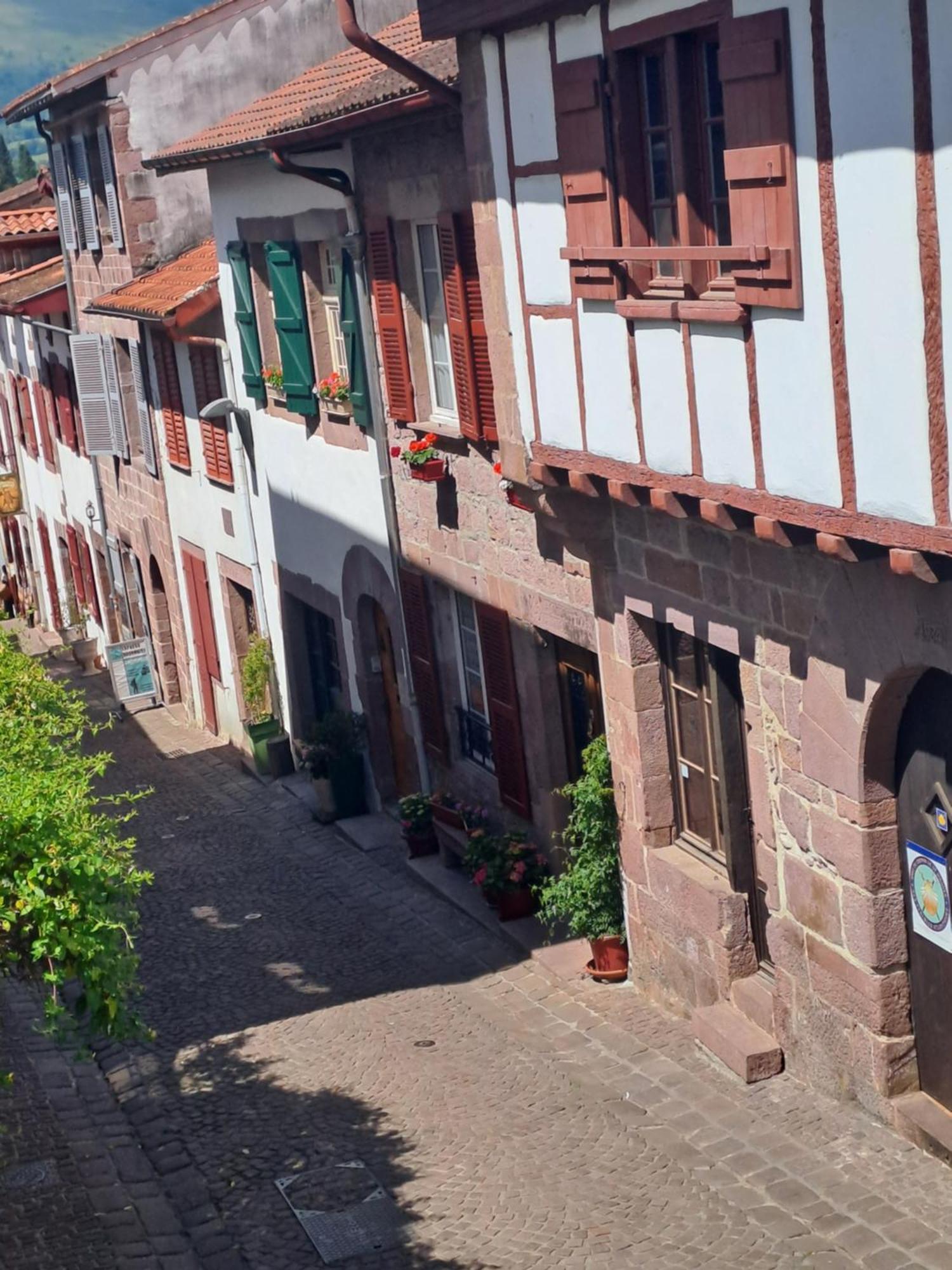 Maison Gohora Dago Saint-Jean-Pied-de-Port Eksteriør bilde